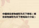 中国哪些景物被称为天下奇观（哪些景物被称为天下奇观简介介绍）