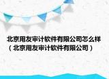 北京用友审计软件有限公司怎么样（北京用友审计软件有限公司）