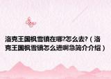 洛克王国枫雪镇在哪?怎么去?（洛克王国枫雪镇怎么进啊急简介介绍）