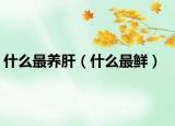 什么最养肝（什么最鲜）