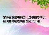 宋小宝演的电视剧（沈春阳与宋小宝演的电视剧叫什么简介介绍）