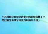 小苏打刷牙会使牙齿变白吗蚂蚁森林（小苏打刷牙会使牙齿变白吗简介介绍）