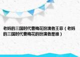 老妈的三国时代曹梅花扮演者王菲（老妈的三国时代曹梅花的扮演者是谁）