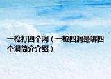 一枪打四个洞（一枪四洞是哪四个洞简介介绍）