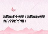 徐凤年多少老婆（徐凤年的老婆有几个简介介绍）