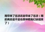 雨带来了悲凉还是带走了悲凉（雨的离去是不是也意味着我们该结束了）