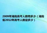 2009年湖南高考人数有多少（湖南省2012年高考人数是多少）