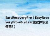 EasyRecoveryPro（EasyRecoveryPro-v6.20.rar此软件怎么使用?）