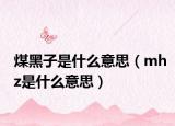 煤黑子是什么意思（mhz是什么意思）
