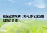 在企业的规划（如何进行企业规划简介介绍）