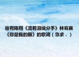 谁有陈翔《流着泪说分手》林宥嘉《你是我的眼》的歌词（急求．）
