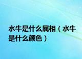 水牛是什么属相（水牛是什么颜色）
