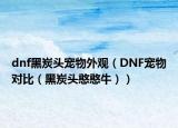 dnf黑炭头宠物外观（DNF宠物对比（黑炭头憨憨牛））