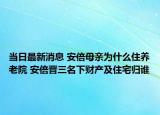 当日最新消息 安倍母亲为什么住养老院 安倍晋三名下财产及住宅归谁