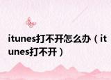 itunes打不开怎么办（itunes打不开）