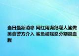 当日最新消息 网红用濒危噬人鲨做美食警方介入 鲨鱼被残忍分割很血腥