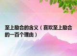 至上励合的含义（喜欢至上励合的一百个理由）