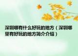 深圳哪有什么好玩的地方（深圳哪里有好玩的地方简介介绍）
