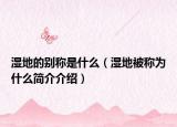 湿地的别称是什么（湿地被称为什么简介介绍）