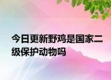 今日更新野鸡是国家二级保护动物吗