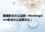 美国联合办公品牌（Workingdom联合办公品牌怎么）