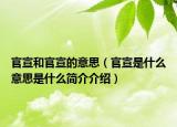 官宣和官宣的意思（官宣是什么意思是什么简介介绍）