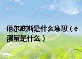 厄尔庇斯是什么意思（e额宝是什么）