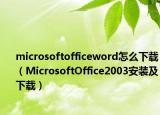 microsoftofficeword怎么下载（MicrosoftOffice2003安装及下载）