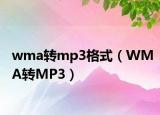 wma转mp3格式（WMA转MP3）