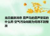 当日最新消息 葫芦岛的葫芦里装的什么药 空气污染问题为何得不到整改