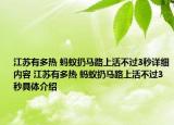 江苏有多热 蚂蚁扔马路上活不过3秒详细内容 江苏有多热 蚂蚁扔马路上活不过3秒具体介绍