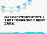DNF无名战士之甲和真野猪甲哪个好（无名战士之甲出效果力量多少 复制的滚混分的滚）