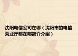 沈阳电信公司在哪（沈阳市的电信营业厅都在哪简介介绍）