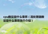 cpu数量是什么意思（流处理器数量是什么意思简介介绍）