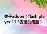 关于adobe（flash player 11.3安装的问题）