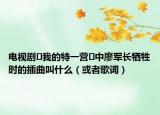 电视剧≪我的特一营≫中廖军长牺牲时的插曲叫什么（或者歌词）