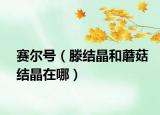 赛尔号（滕结晶和蘑菇结晶在哪）