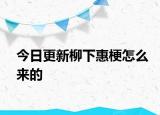 今日更新柳下惠梗怎么来的