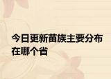 今日更新苗族主要分布在哪个省