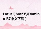 Lotus（notes\Domino R7中文下载）