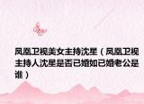 凤凰卫视美女主持沈星（凤凰卫视主持人沈星是否已婚如已婚老公是谁）