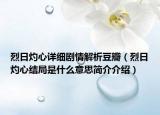 烈日灼心详细剧情解析豆瓣（烈日灼心结局是什么意思简介介绍）
