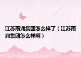 江苏雨润集团怎么样了（江苏雨润集团怎么样啊）