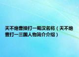 天不绝曹操打一蜀汉名将（天不绝曹打一三国人物简介介绍）