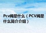 Pcv阀是什么（PCV阀是什么简介介绍）