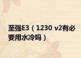 至强E3（1230 v2有必要用水冷吗）