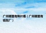 广州哪里有枫叶看（广州哪里有钱包厂）