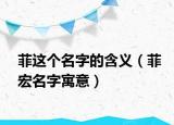 菲这个名字的含义（菲宏名字寓意）