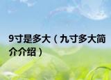 9寸是多大（九寸多大简介介绍）