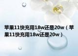 苹果11快充用18w还是20w（苹果11快充用18w还是20w）